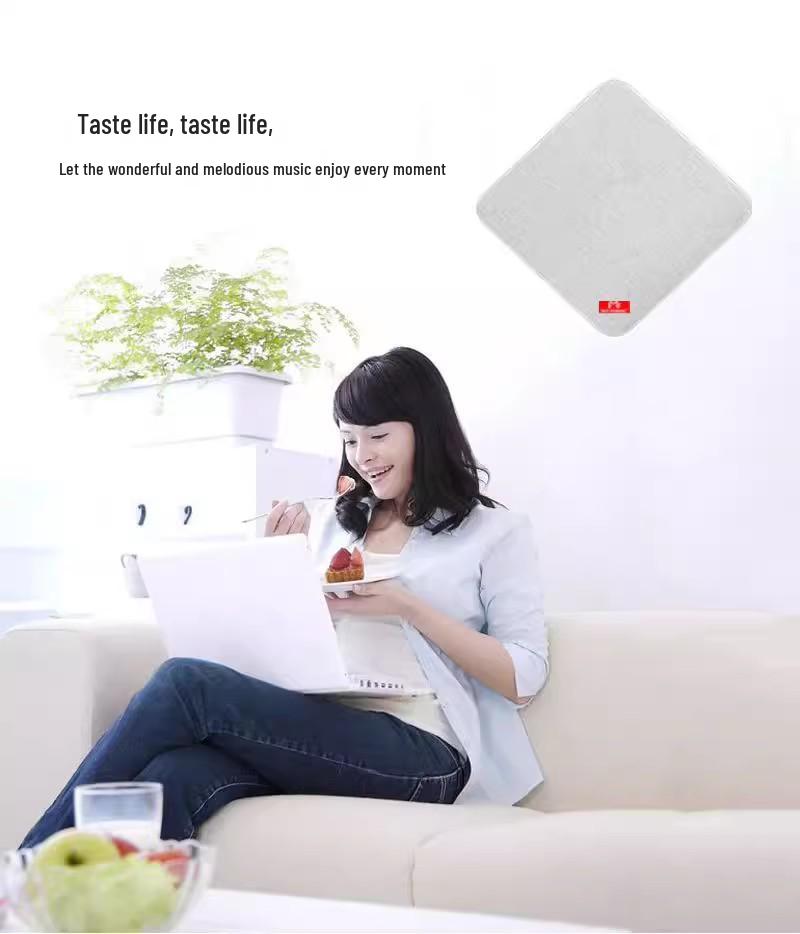 Commercial Wall/Ceiling Mounted Wireless Bluetooth Speaker for Classrooms, Restaurants, Gyms, and Conference Rooms
