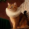 Собака Кошка Рюши Домашние животные Реквизит Ожерелье Нагрудники Котенок Щенок Наряжаться Елизаветинский Воротник