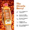 NutriOrg Pure Sea Buckthorn Juice 500 mL | 100% Himalayan Berry Pulp | Omega 3,6,7,9 & Vitamin C | Best for Immunity & Antioxidant Rich | No Adde