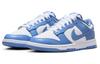Nike Данк Низкий Полярный Синий DV0833-400