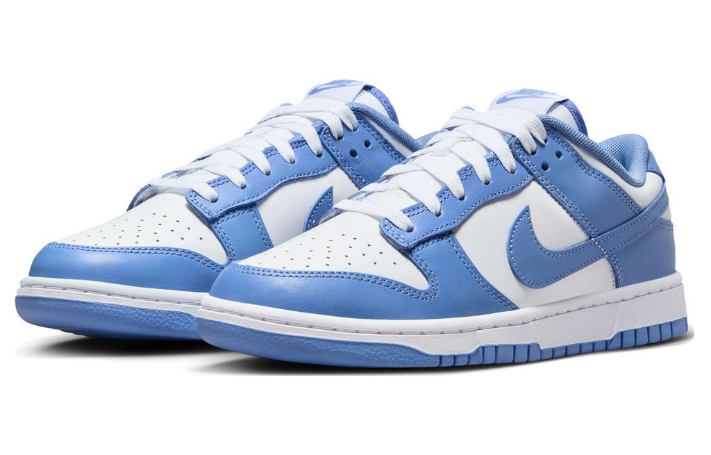 Nike Данк Низкий Полярный Синий DV0833-400