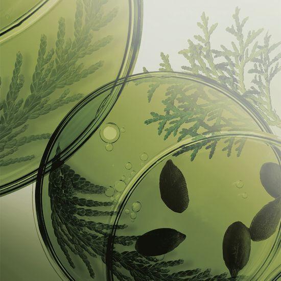 Ryo Rootzen Женский персонализированный шампунь для ухода при выпадении волос 353 мл + 100 мл Специальное предложение и отдельный продукт