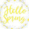 Something Different Hello Spring Daisy Wreath
