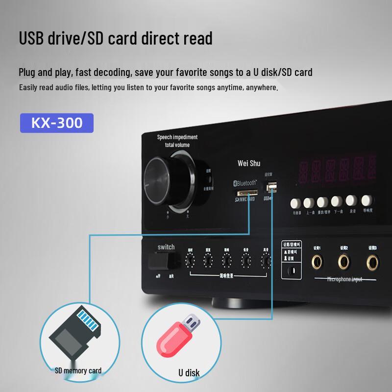 Weishu KX-300 Professional Conference Audio System (CN version)