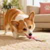 Interactive Knot Pulling Toys Spatula Shaped Dog Chew Toy with Braided Fabric Rope, Puppy Teething Energy Releasing for Pets Toy, Pet Molar