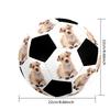 Adorable Puppy Down. Customizable photos Size 5 Soccer football Machine-Stitched Indoor/Outdoor Training and Matches