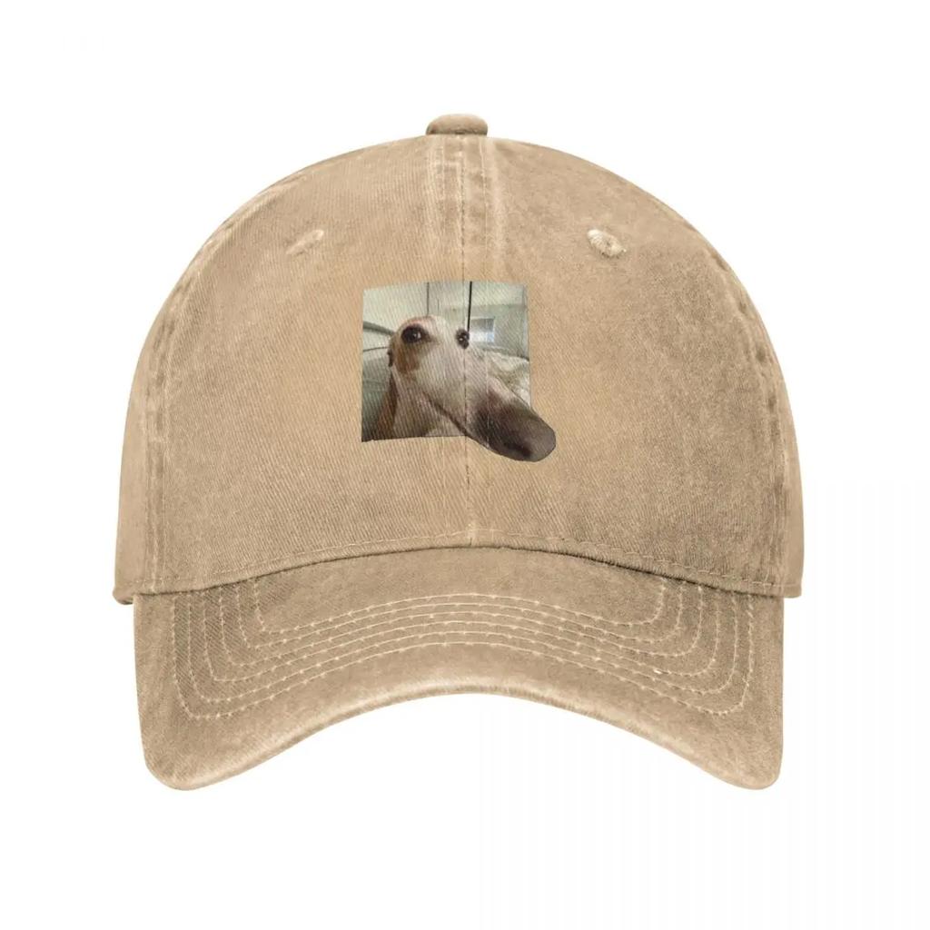 Funny Dog Baseball Cap hats on offer New In Hat Winter hat designer cap For Women  Unisexs