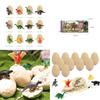 Engaging Dino Egg Dig Up Mining Kit For Educational Stem Projects For Kids Ages 5-8
