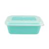 Japanese Style Disposable Rectangular Meal Box