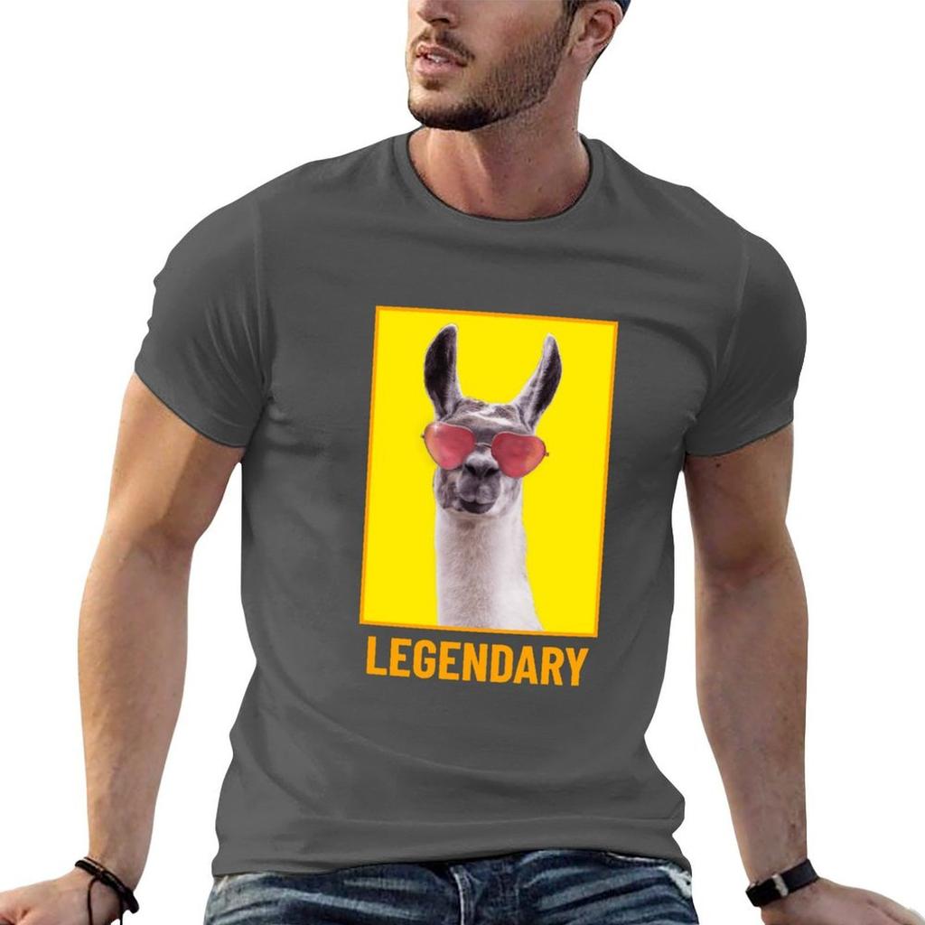 Legendary Lama Mama Epic Gift Tshirt Urban Casual Loose Fit Tee