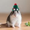 Hamster Hat Tiny Knitted Hat with Pompom Glasses Small Pet Mini Hat with Adjustable Strap for Guinea Pig Dress-up Photo Prop