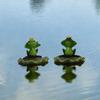 Ручная работа Смола Плавающие Лягушки Скульптура Пруд Вода Плавающие Лягушки Фигурка Пруд Украшение Подарок Коллекционный Декоративный