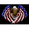 5D Diy Алмазная картина Флаг Орел Алмазная вышивка Крестом Домашний декор Подарки ручной работыjavascript: