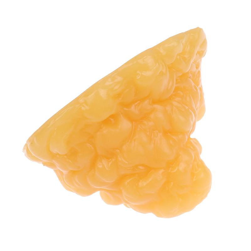 Модель жировой ткани-реплики Модель жира человеческого тела 1 фунт Демонстрационная модель жировой ткани человека для курса науки о питании