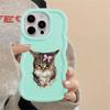Чехол-футляр 'Злой кот с бантом' для iPhone 15 Plus 12 16 Pro Max 8 11 XR 14 13 17 Air Soft Чехол для телефона