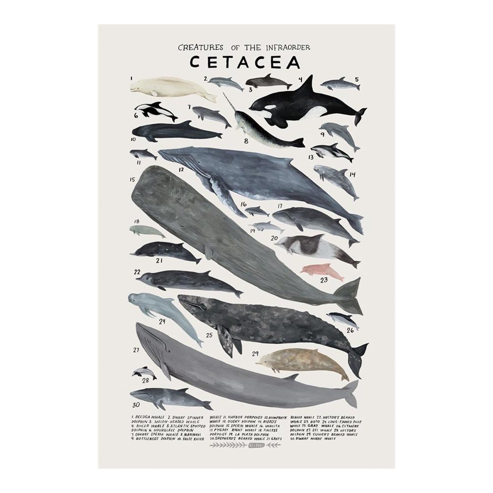 Абстрактные морские организмы медузы киты кальмары рыбы постеры холст картины и принты настенное искусство картина для комнаты домашний декор