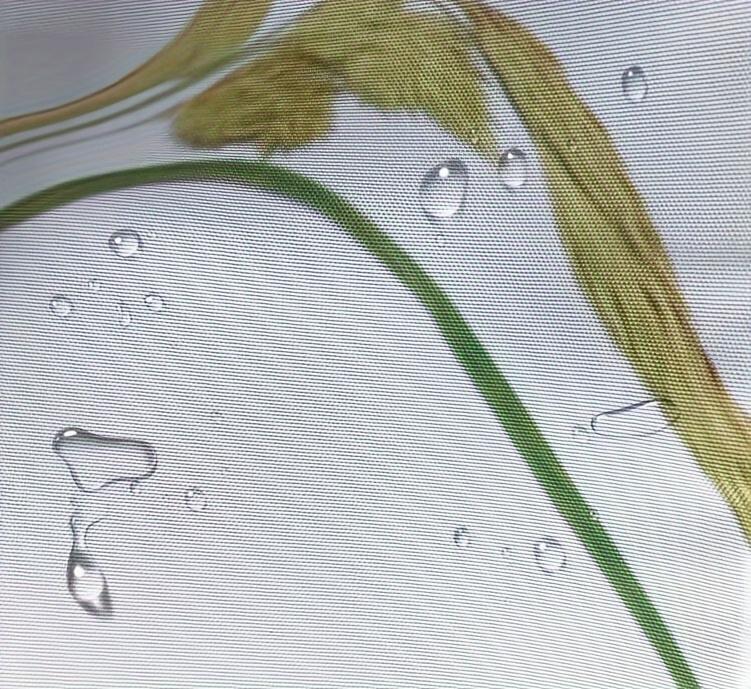 Красивые горные водопады узор занавески для душа геометрические полосы шторы для ванной комнаты аксессуары набор занавеска для ванны с крючками водонепроницаемые