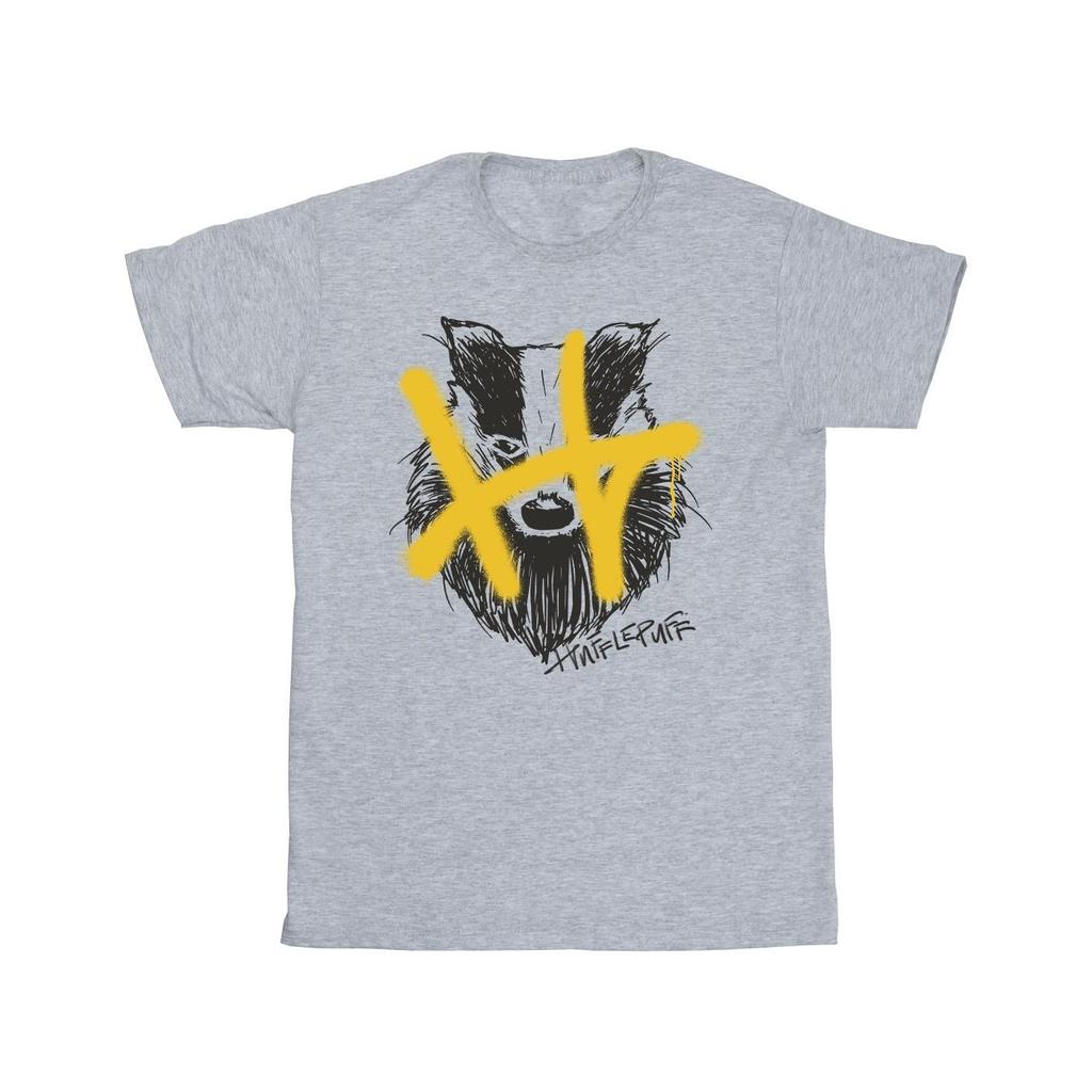 Harry Potter Mens Hufflepuff Pop Spray T-Shirt