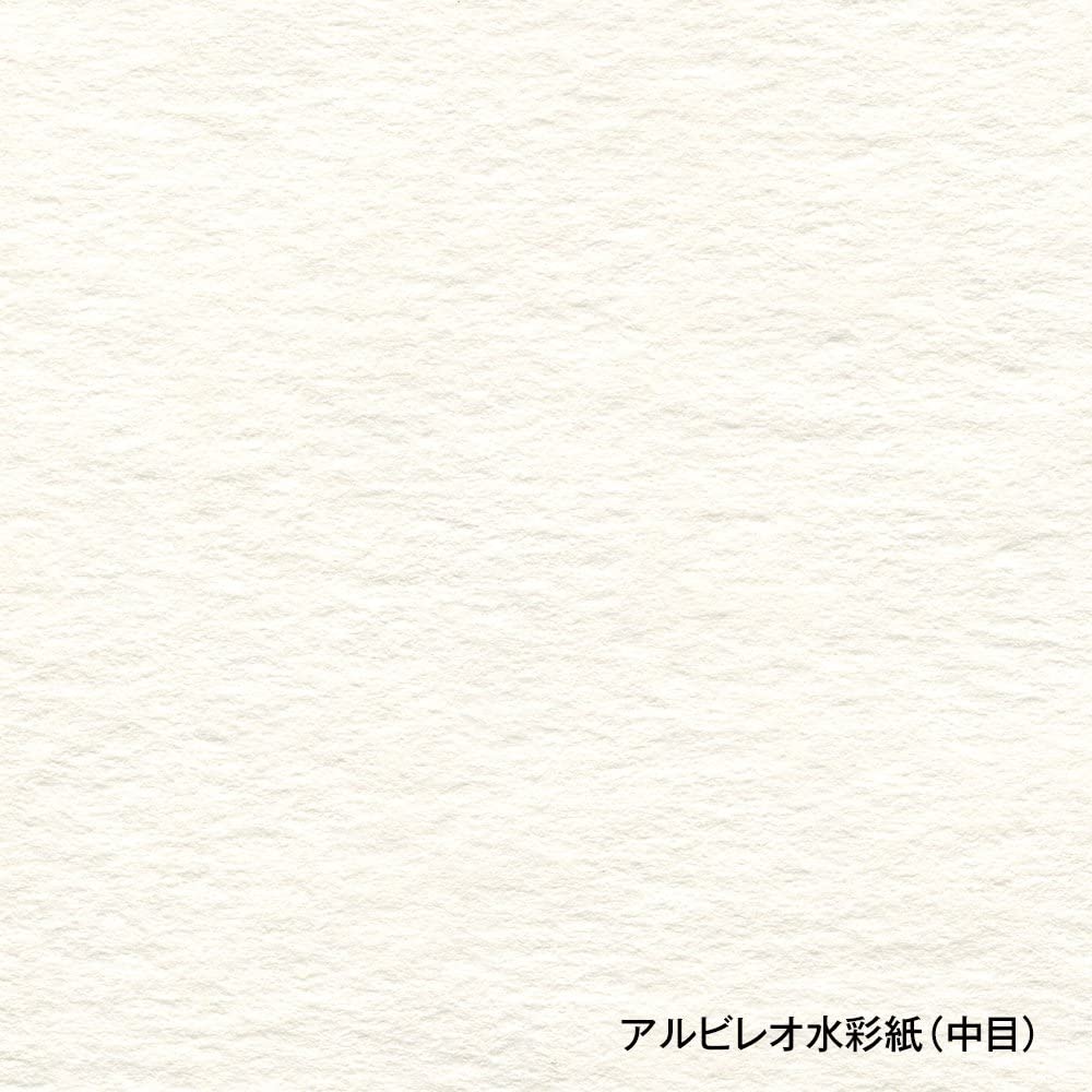 Holbein Albireo Watercolor Paper Medium Grain 218g F6 Size Block Type 24 Sheets 270238 AB-F6
