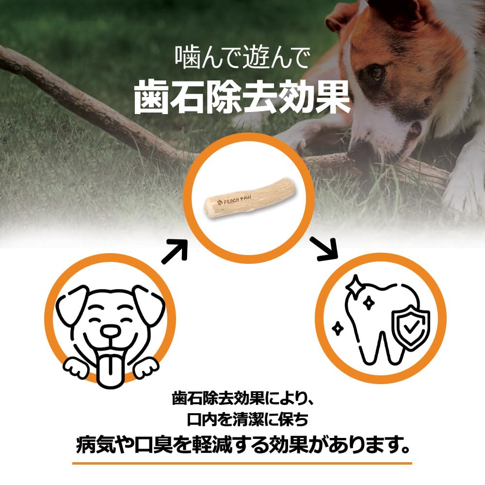 Персиковая лапка для кофе из дерева для собак, жевательная деревянная игрушка для собак, деревянная, жевательная игрушка для собак, деревянная, натуральный кофе, ультрамаленький набор из 3 игрушек [персиковая лапка] жевательная игрушка, игрушка, дерево, игрушка, палочка, дерево,