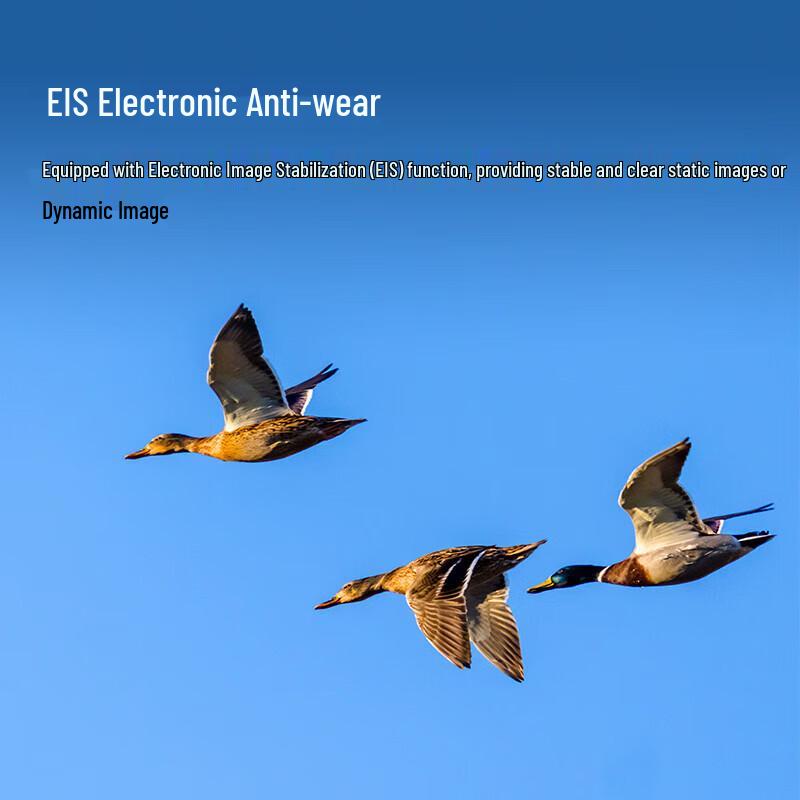 SIGMA fp L Full-Frame Mirrorless Camera (CN version)