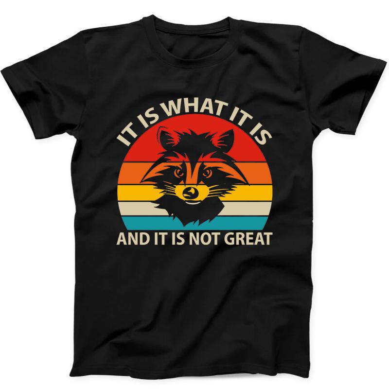 Raccoon It Is What It Is Not Great T-Shirt