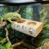 Магнитный выступ для рептилий Магнитная кормушка с 10 кормушками Водопой для рептилий Выступ-кормушка для домашних животных Крабы Черепаха Паук