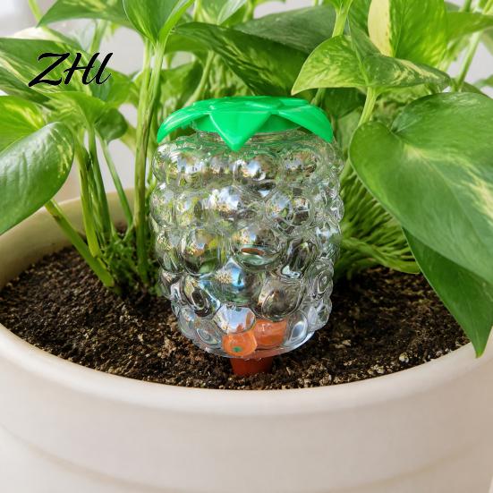 Self Watering Spikes for Pots Automatic Plant Bulb, Grape Shaped Globes with Indoor Gardening Accessories Terracotta Spikes, Vacation Tool Potted