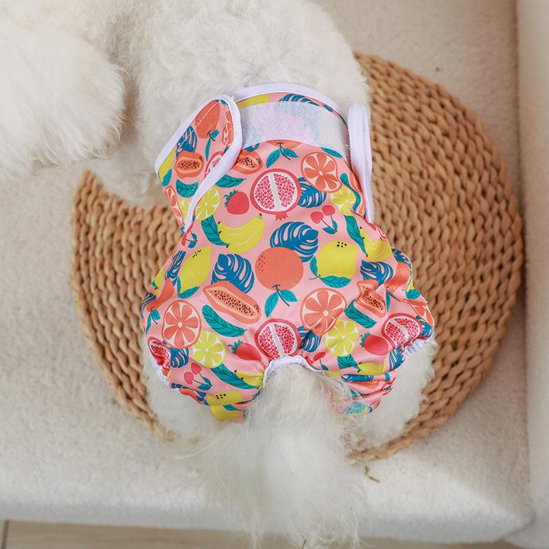 Физиологические штаны для собак женского пола - менструальные подгузники и одежда для домашних животных на весну/лето.