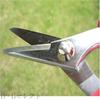 Babacho Hardware BABACHO Сделано в Японии Цветочный Мастер Окубо Ножницы BH-1