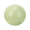 LISM Yoga and Fitness Ball