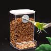 Anti-Splash Bird Food Dispenser Large Capacity Parrot Feeding Box  Small Medium Birds