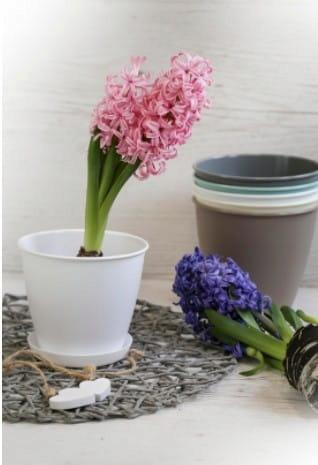 Flowerpot Plastic Gray Verdenia 13 X 13 X 12 1 Pc