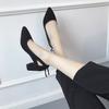 Spring Pointed Head Thick Heel Single Shoes Women's Bow Light Mouth Suede Medium Heel Work High Heels