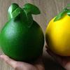 Foam Simulated Grapefruit Lifelike Grapefruit Model Food Props Fruit Ornament  Shop Decoration
