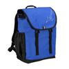 Mizuno Direct Store Limited Baseball Bag Dear Rookie Backpack 25L 1FJDCR03 Royal Blue