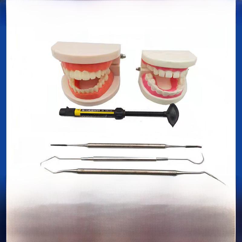 Образовательная модель зуба для детей - Игрушка для практики чистки зубов