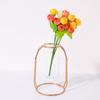Nordic Creative Vase Home Decor Golden Glass Hydroponic Plant Holder Iron Line Flowers Ornament Garden Decoration Hot
