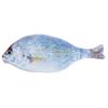 Portable Simulation Fish Pencil Case Large Capacity Pencil Bags Pen Storage Bag  Kids Gifts