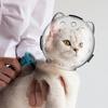 Портативный чехол на голову кошки, защита головы, космический шар, прозрачный, устойчивый к укусам, устойчивый к царапинам, дышащий, прочный, безопасный, товары для домашних кошек
