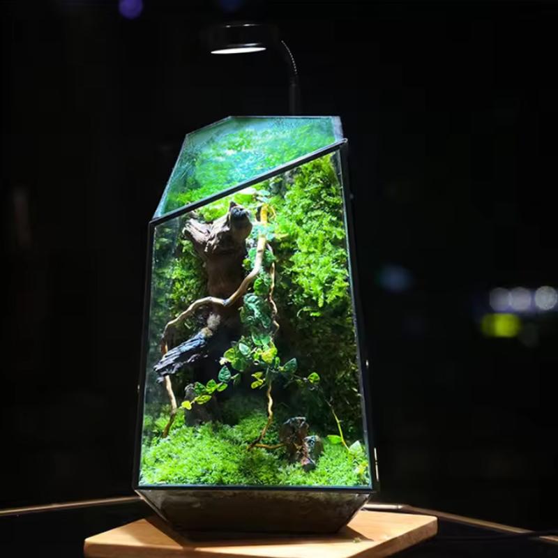 Микроландшафт Креативный Цветочный Горшок Неправильной Формы Украшение Мох Суккулентные Растения Стеклянная Ваза Домашнее Украшение