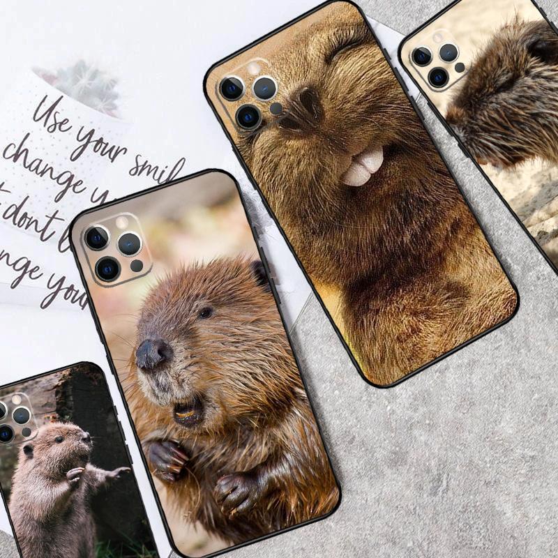 Чехол с животным бобром для OPPO Reno 12F 13F 14F 10 11 12 13 14 Pro 8T 7 8 Lite OPPO Find X6 X5 X8 X9 Pro