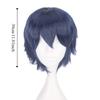 Synthetic Short Straight Hair Heat Resistance Male Layered Wigs Full Head Anime Cosplay Wigs  Boy