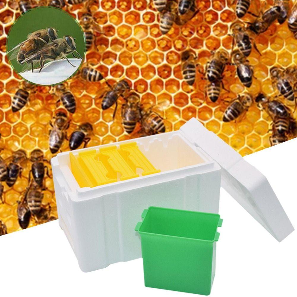 Foam Bee Hive Box Beekeeper Garden Pollination Box Box Bee Mating Box Bee Breeding Case