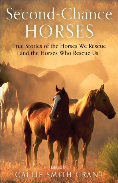 The Second???Chance Horses ??? True Stories of the Horses We Rescue and the Horses Who Rescue Us Book
