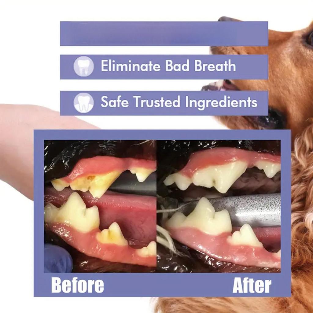 Has Good Adhesion and Cleaning Power, Can Gently Clean Pet Teeth