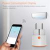 NEO NAS-WR01BH 16A ZigBee 3.0 Smart Plug Smart Wireless Remote Control Power Plug with Energy Monitoring, EU Plug