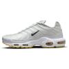 Мужские кроссовки Air Max Plus SE 'Frank Rudy' DQ8960-100