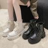 Fashion Winter Short Plush Women Motorcycle Boots Elegant Platform Thick Bottom Ladies Lace Up Short Booties Women's Footwear