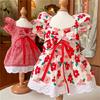 Dress for Dog Lovely Lattice/Flower Print Skirt Pet Birthday Wedding Dress